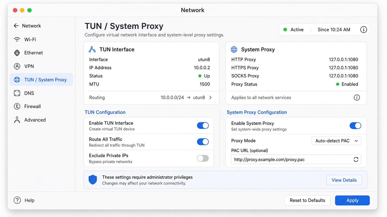 系统代理与 TUN 设置示意